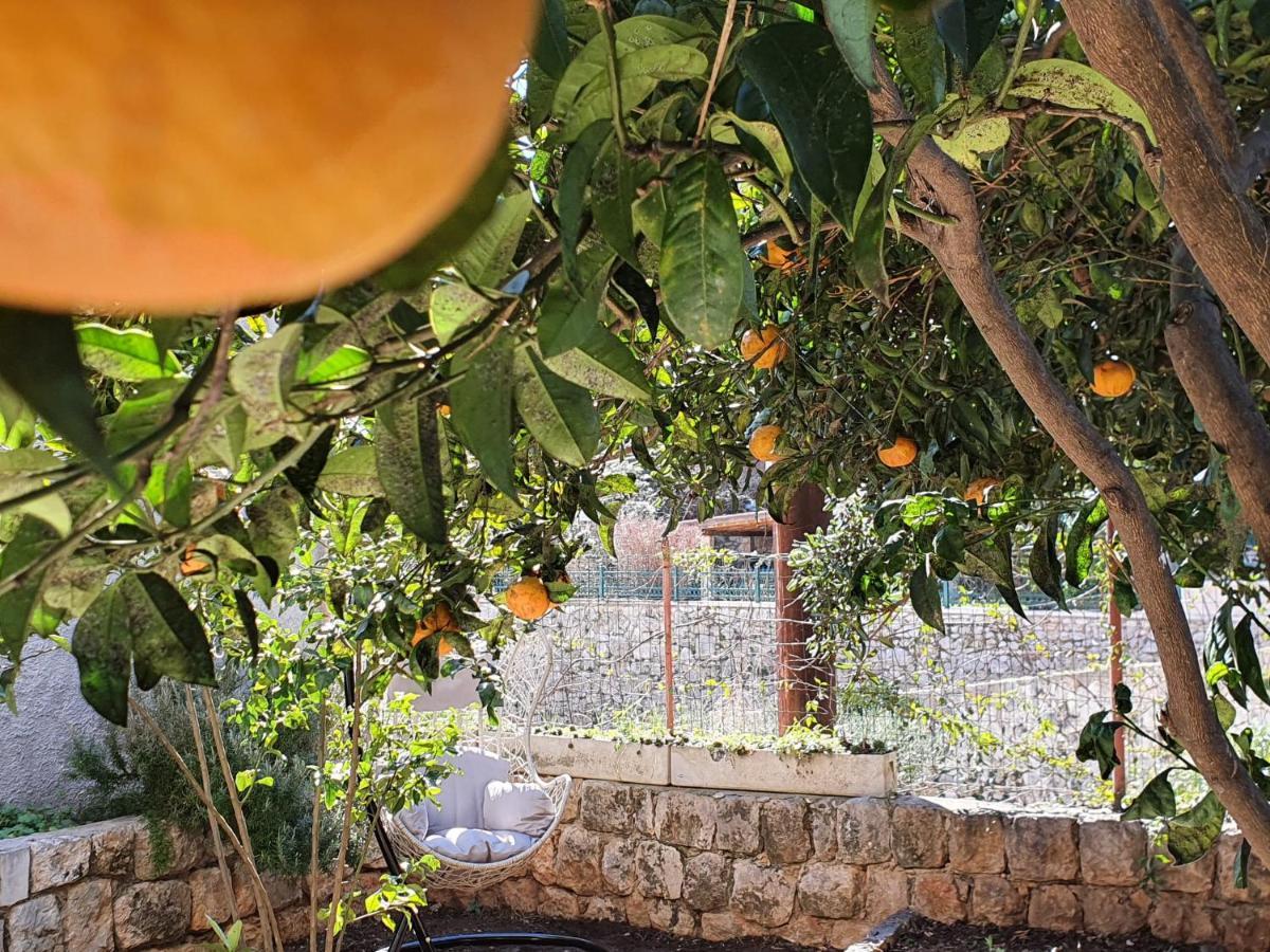 Barbara'S Garden Apartment Dubrovnik Dış mekan fotoğraf